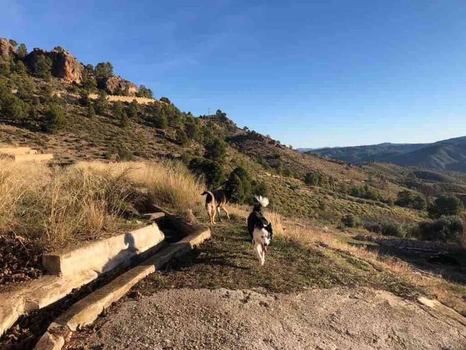 Casa Rural Con Encanto Senorio Manchego Albacete Yeste Kültér fotó